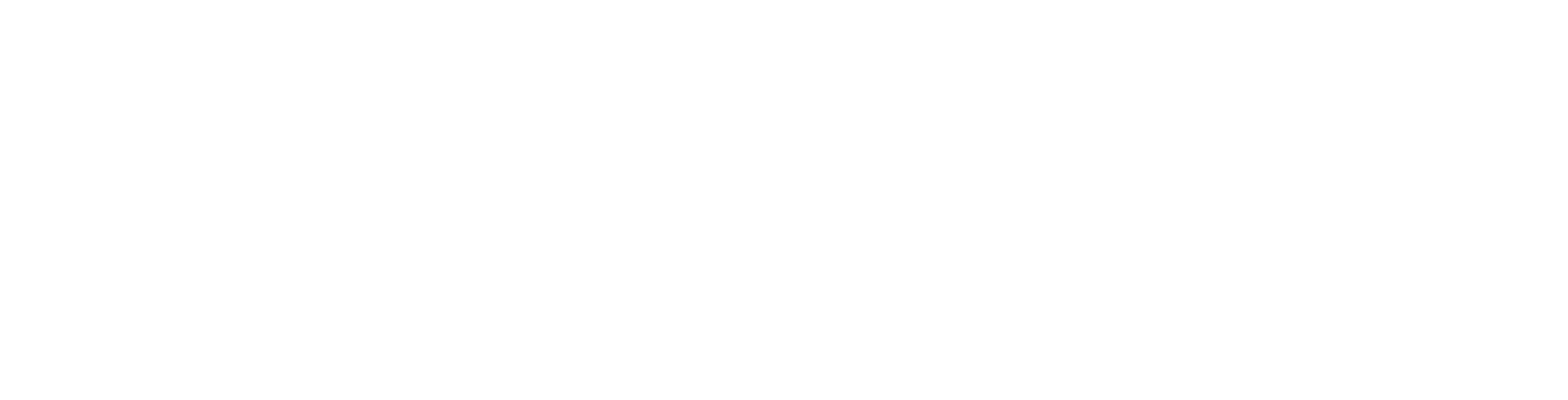 RoboVerse Logo
